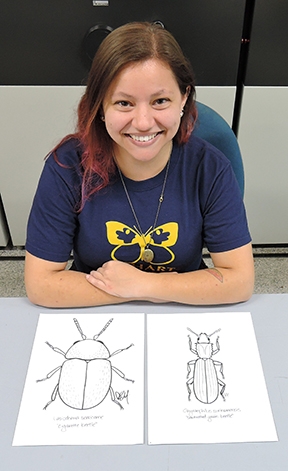 UC Davis undergraduate student Karissa Merrit will be on hand at the Bohart Museum sketching insects. (Photo by Kathy Keatley Garvey)