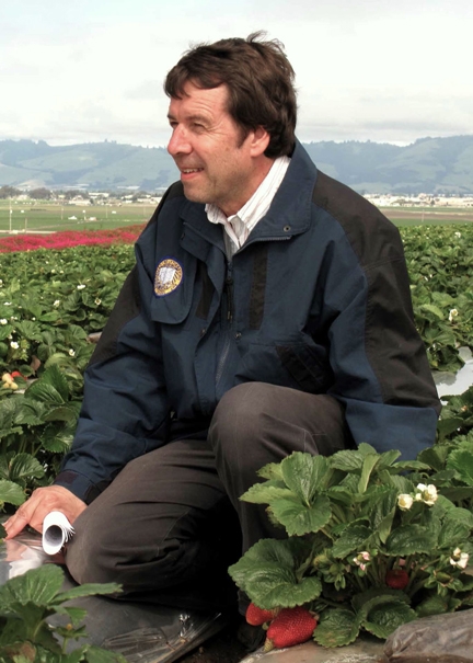 Frank Zalom, distinguished professor of entomology, UC Davis Department of Entomology and Nematology, in a strawberry field.