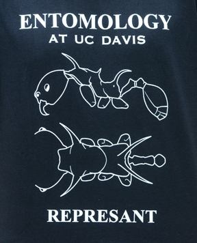 Winning EGSA t-shirt: design by Brendon Boudinot, with illustrations by colleague Eli Sarnat.