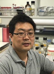 Lead author Qian Ren of the Kenji Hashimoto lab, Division of Clinical Neuroscience, Chiba University Center for Forensic Mental Health, Chiba, Japan.