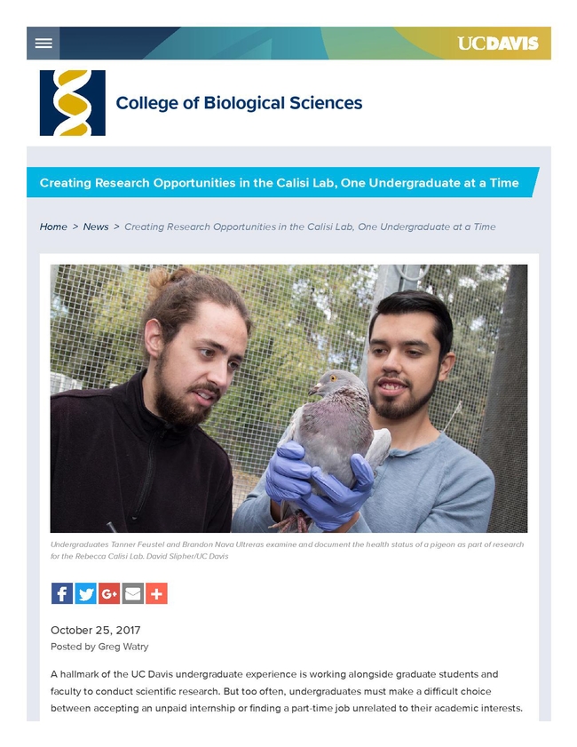 Gregory Watry, science writer for the UC Davis College of Biological Sciences, won a bronze award for his piece on 