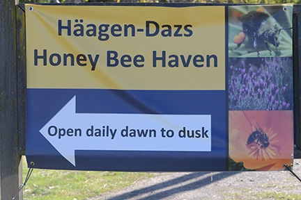 Häagen-Dazs Honey Bee Haven sign. (Photo by Kathy Keatley Garvey)