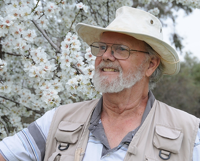 Robbin Thorp by an almond tree on Bee Biology Road, UC Davis. (Photo by Kathy Keatley Garvey)