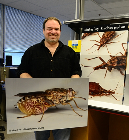 Medical entomologist Geoffrey Attardo with his image of a tsetse fly. (Photo by Kathy Keatley Garvey)