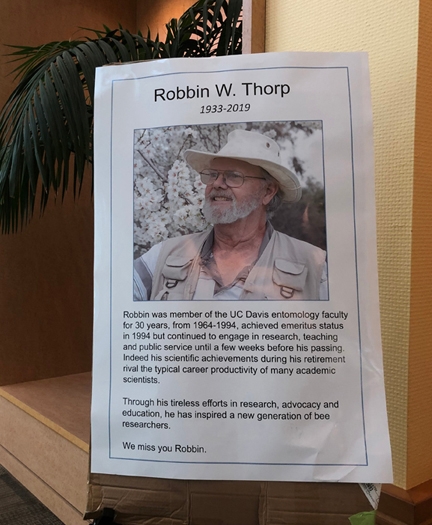 Tribute to the late Robbin Thorp of UC Davis, global authority on bees. (Photo by Kathy Keatley Garvey)