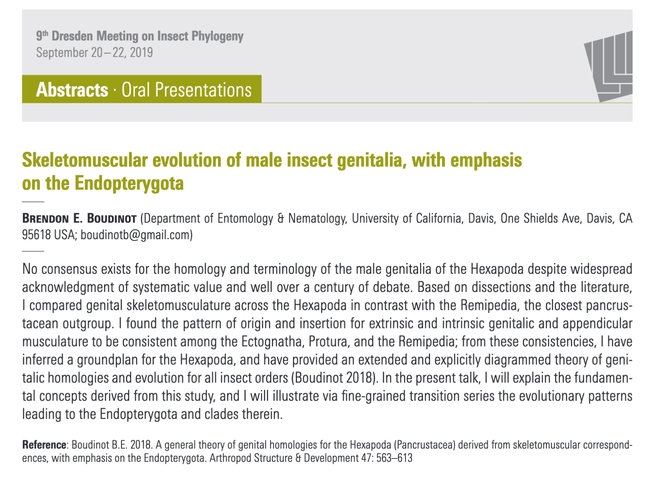 This is the abstract of Brendon Boudinot's lecture Sept. 20 at an international conference on insect phylogeny in Germany.