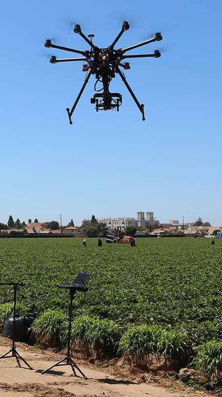 Drones can target pest outbreaks or hot spots in field crops and orchards, the authors related. (Photo by Elvira de Lange)