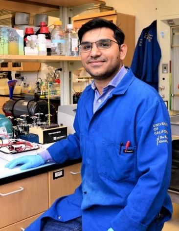 UC Davis plant pathologist Shahid Masood Siddique