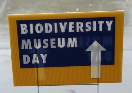 UC Davis Biodiversity Museum Day has expanded into a month.