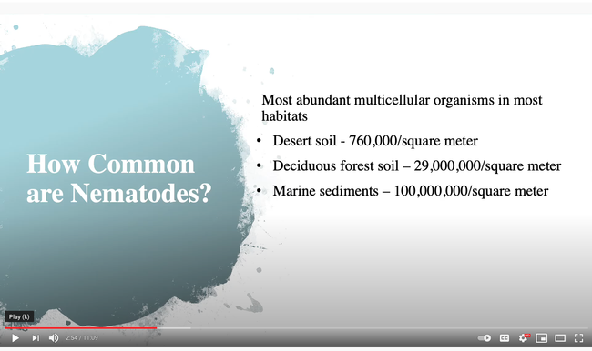How common are nematodes? Slide from Steve Nadler's video.