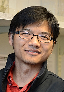 Jun Yang, corresponding author