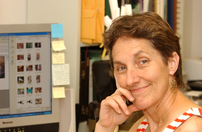 Lynn Kimsey, director of the Bohart Museum of Entomology and UC Davis distinguished professor of entomology (Photo by Kathy Keatley Garvey)