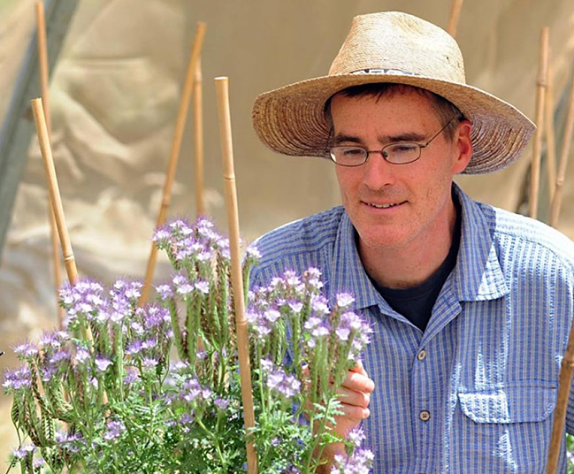 Co-author, Professor Neal Williams, pollination ecologist (Photo by Kathy Keatley Garvey)