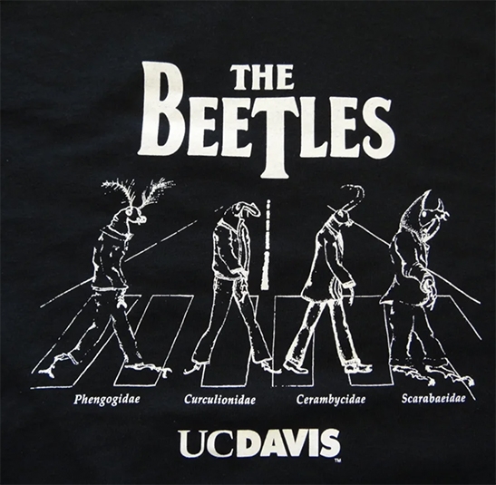 This Beetles t-shirt is one of the UC Davis Entomology Graduate Student Association's best sellers.