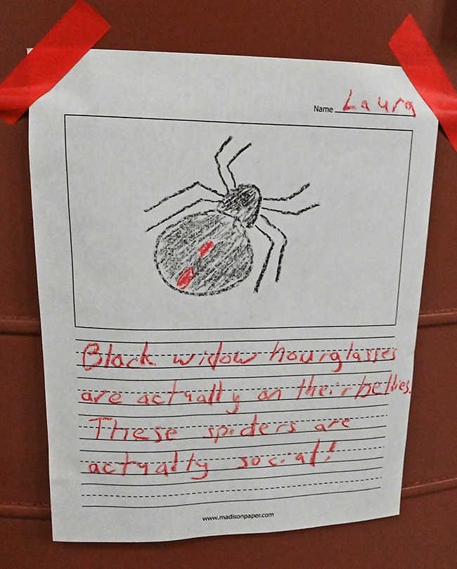 A scientist explains her arachnid project as 