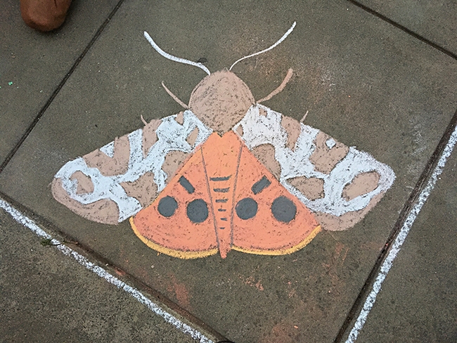 This tiger moth is the work of talented street artist Srdan Tunic, a UC Davis master's program student in art history. (Photo by Srdan Tunic)