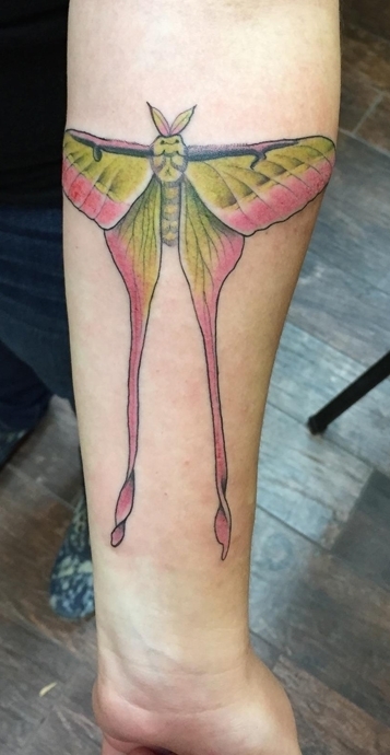 A tattoo of a Chinese luna moth adorns the arm of entomologist-artist Karissa Merritt, a UC Davis alumna.