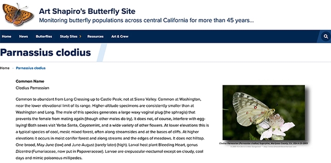 A screen shot from Art Shapiro's butterfly site.