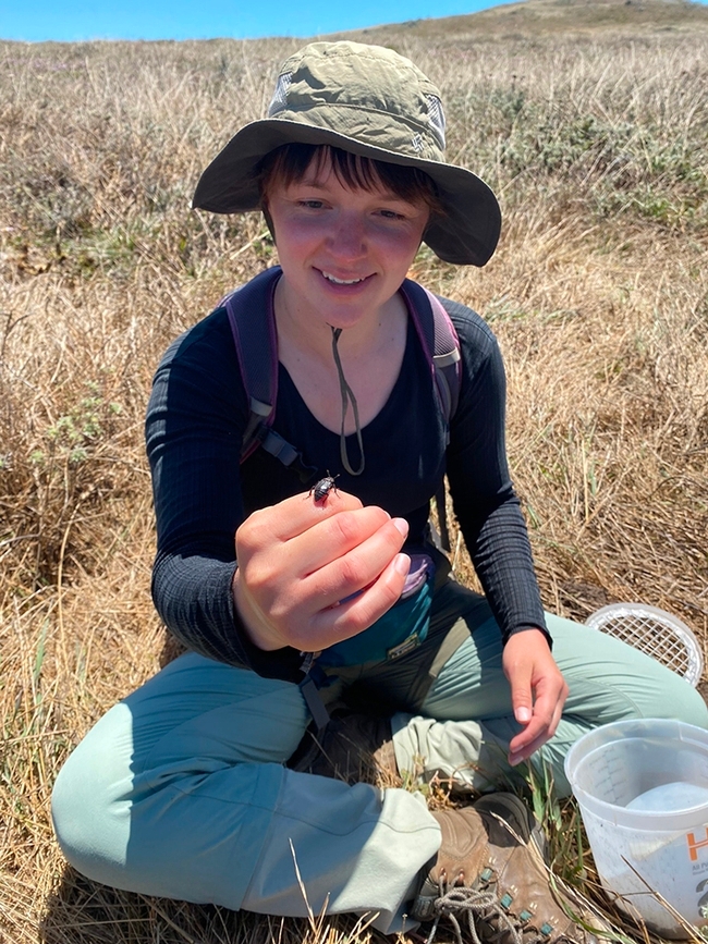 UC Davis doctoral candidate and ecologist Tracie Hayes will share her expertise on burying beetles.