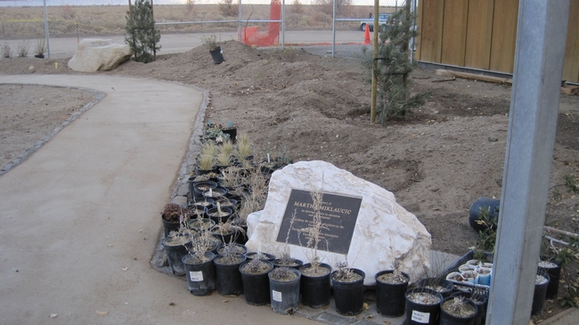 A rock monument surrounded by nursery pots.