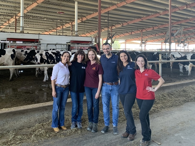 A group of researchers stand with a dairy farmer in a dairy barn with cows in the background