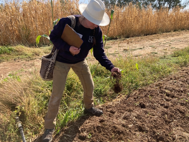 Margaret Lloyd grabs a handful of soil to examine in a field.