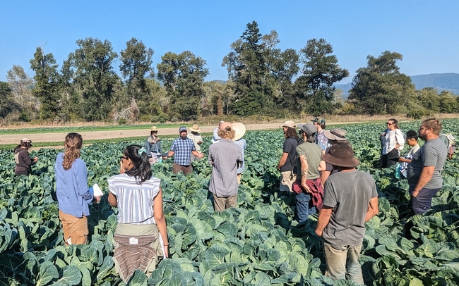 UCCE Specialty Crops and Horticulture Advisor Eddie Tanner stands in a field, talking to a group about findings from an organic cauliflower varietal trial
