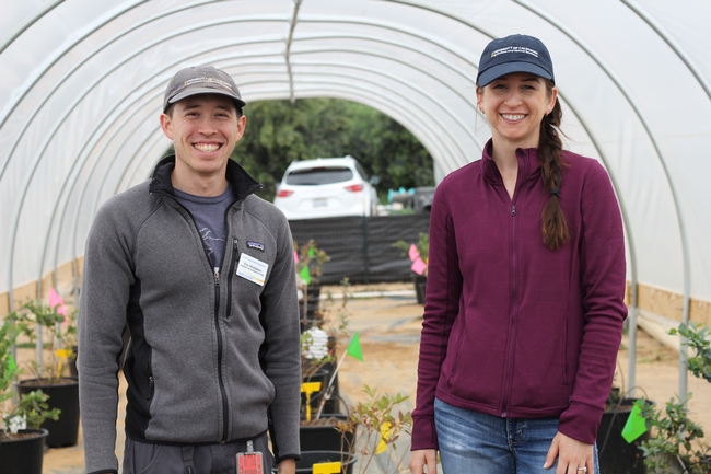 A young man and woman, both in their 30s, smile under a hoop house that is growing blueberries.