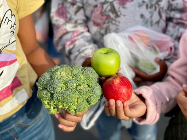 A stalk of broccoli, a green apple and a red apple held in children's hands.