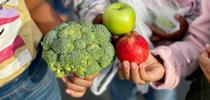 California farmers participating in the state's Farm to School Incubator Grant Program are increasing sales of fresh, organic produce, meat and dairy products to local schools. for Food Blog Blog