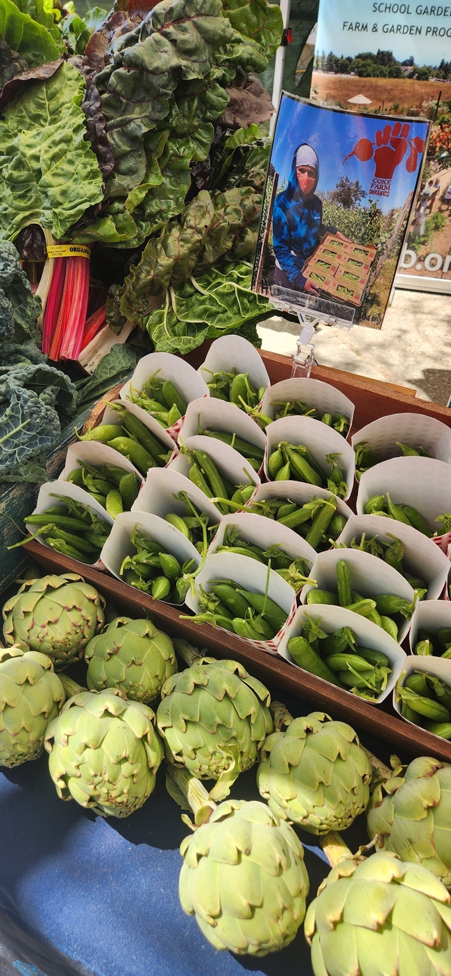 Rows of snap peas in paper french fry containers and 9 artichokes are flanked by green leafy vegetables. A 