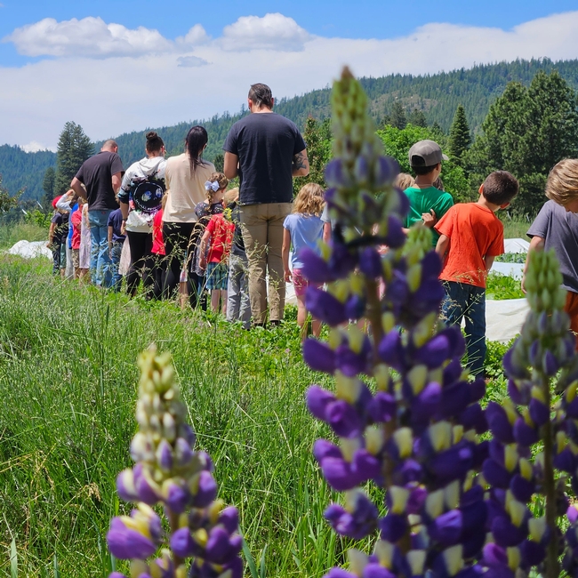 Small children and four adults, shown from behind, observe a crop growing until a white plastic tarp. A plant with purple blooms looms large in the foreground.