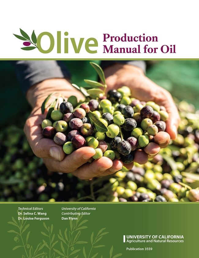 Cover of the new Olive Production Manual for Oil, with a picture of two hands holding olives