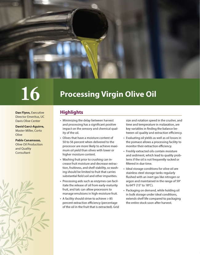 First page of the processing chapter in the olive oil production manual