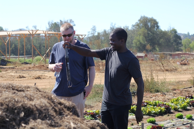 Nkhoma demonstrates how he manages gophers on his farm.