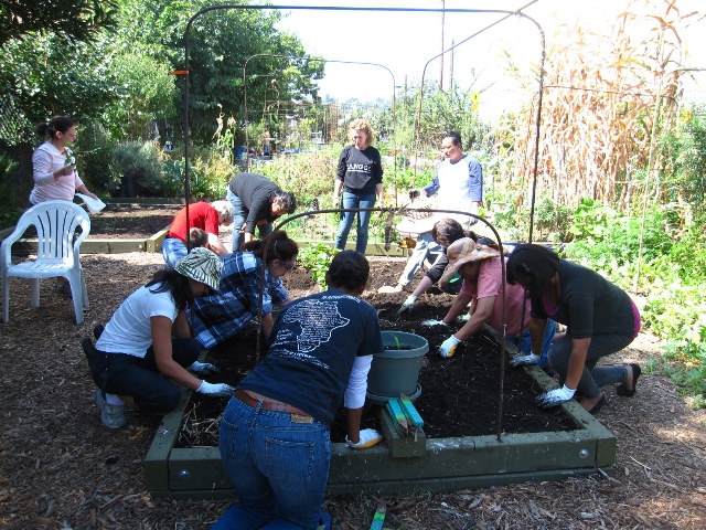 Infusing nutrition education into an LA County vegetable garden