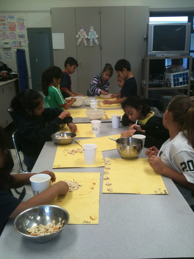 Students count pumpkin seeds as part of a math lesson.