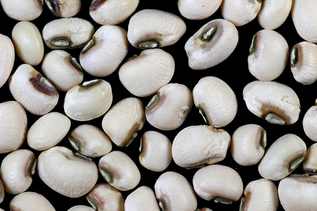 Black-eyed peas are said to bring good luck in the New Year.