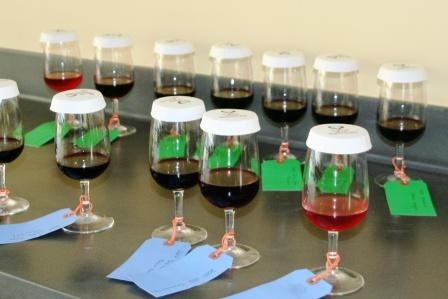 Wine samples ready for tasting at UC Davis. (photo: Ann Filmer / UC Davis)