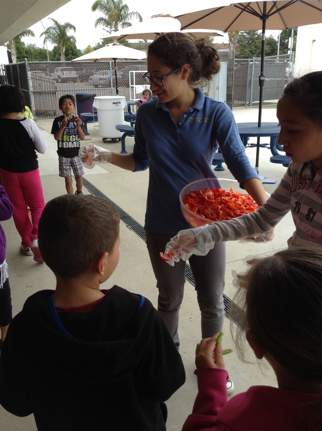 A student leader and student assistant help hand out the bell peppers.