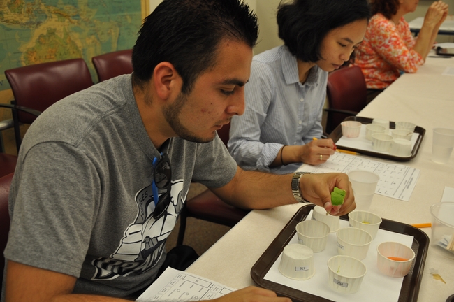 Participants taste avocados at UC Riverside.
