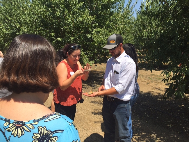 Capay Valley Ranch farm manager Joe Armstrong displays almonds for a food blogger to photograph.