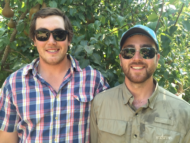 Ryan Elliott, left, and Richard Elliott, are the newest generation of farmers at the Elliott Pear Farm.