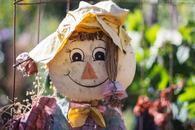 Gardening scarecrow
