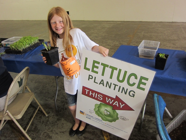 Lettuce planting engages and delights students.