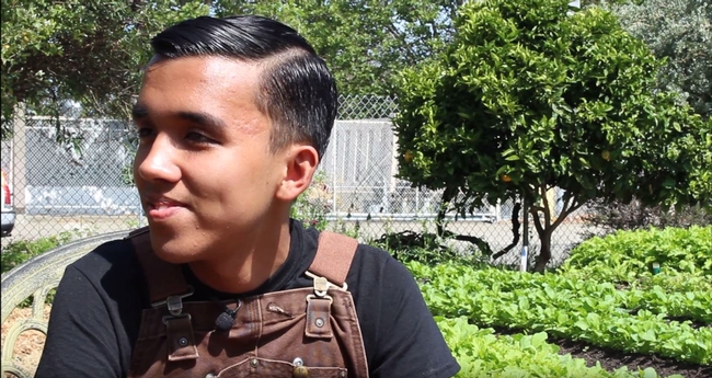 Steven Palomeres, former intern at WOW farms in West Oakland shares his experience in urban farming