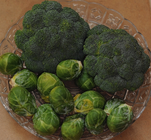 Broccoli and Brussels sprouts