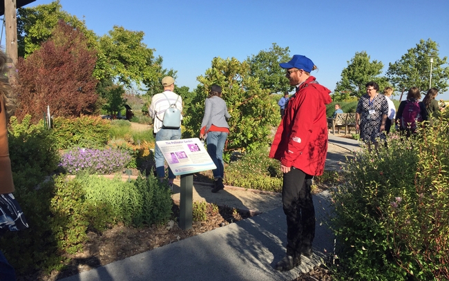 UC Berkeley graduate student Sarick Matzen reads about the brightly colored plants in the demonstration garden that attract bees, butterflies and other pollinators.