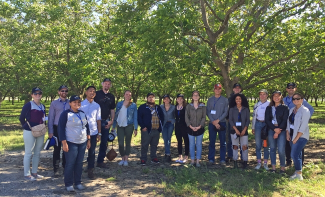 Morada Produce uses waste water from the cherry processing plant to water these walnut trees, said Scott Brown, fifth from left.