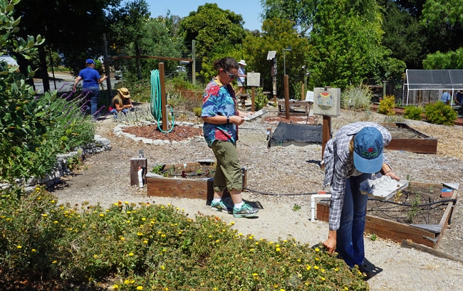 Trainees set out to collect garden items in a scavenger hunt.